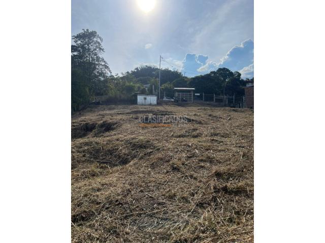 Lotes, Venta en La Buitrera