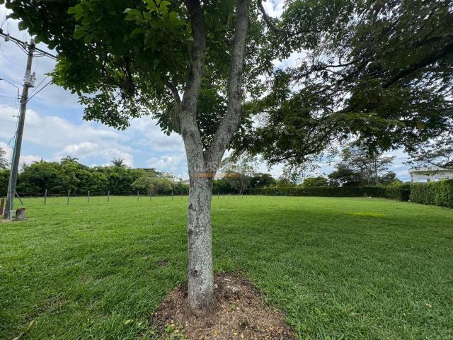 Lotes, Venta en Pance