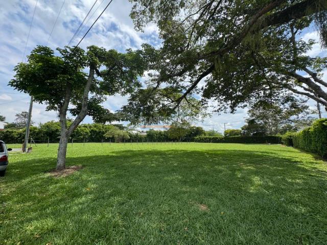 Lotes, Venta en Pance