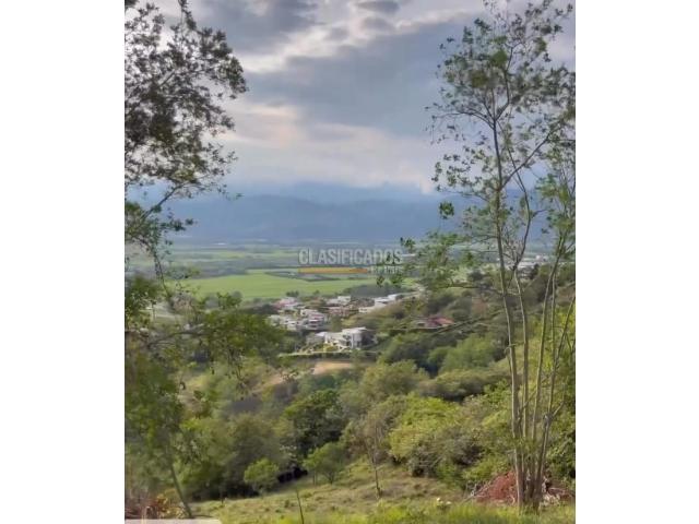 Lotes, Venta en Buga