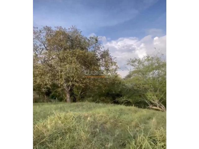 Lotes, Venta en Buga