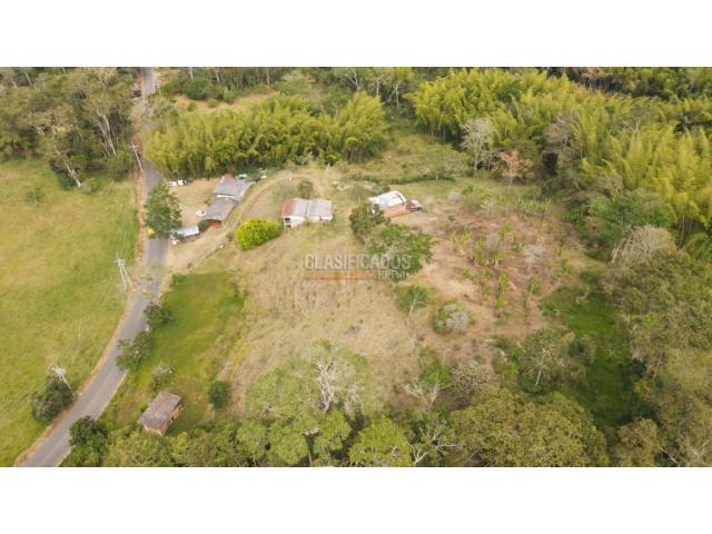 Fincas y Casas Campestres, Venta en Calima (Darién)