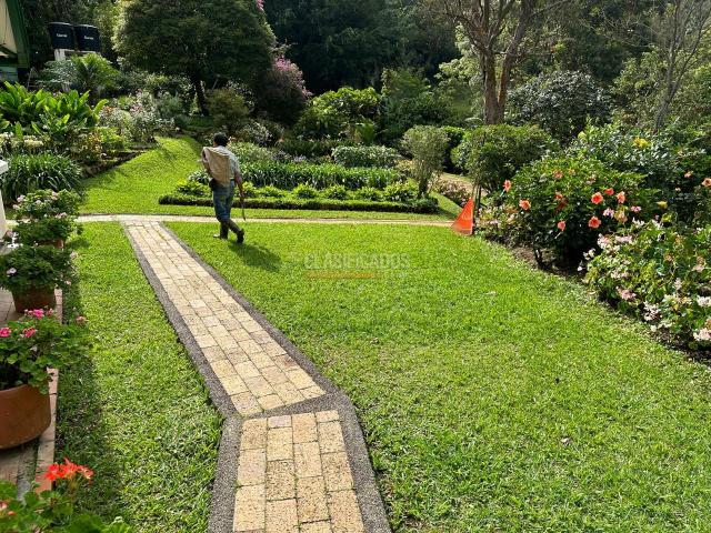 Fincas y Casas Campestres, Venta en Saladito