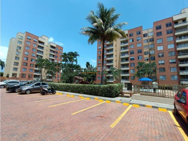 Apartamentos, Alquiler en El Ingenio