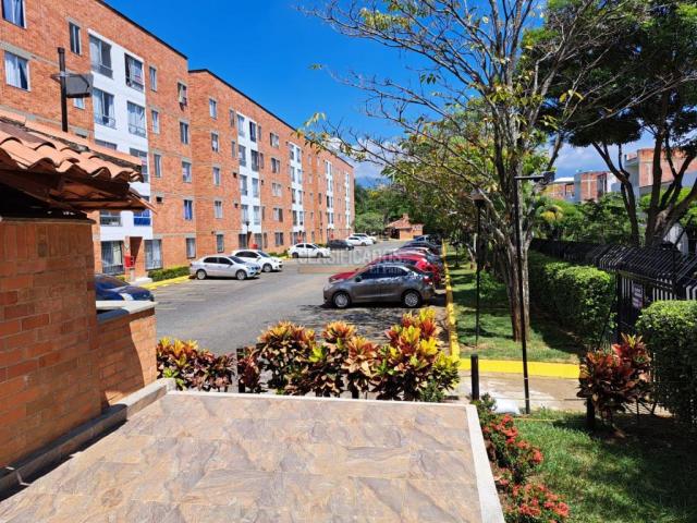 Apartamentos, Alquiler en Calicanto