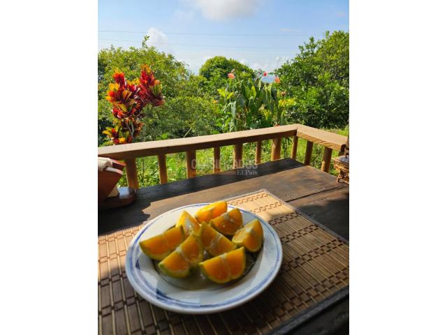 Fincas y Casas Campestres, Venta en Jamundí