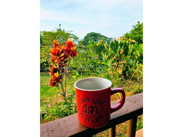 Fincas y Casas Campestres, Venta en Jamundí