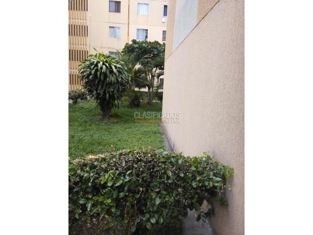 Apartamentos, Alquiler en Chiminangos