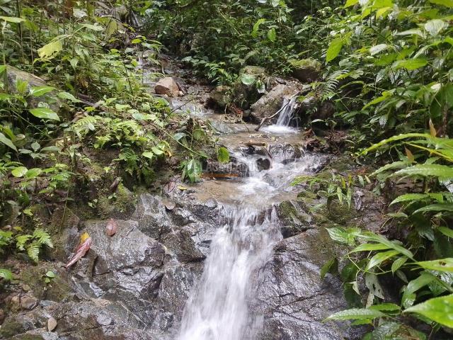 Fincas y Casas Campestres, Venta en Ginebra