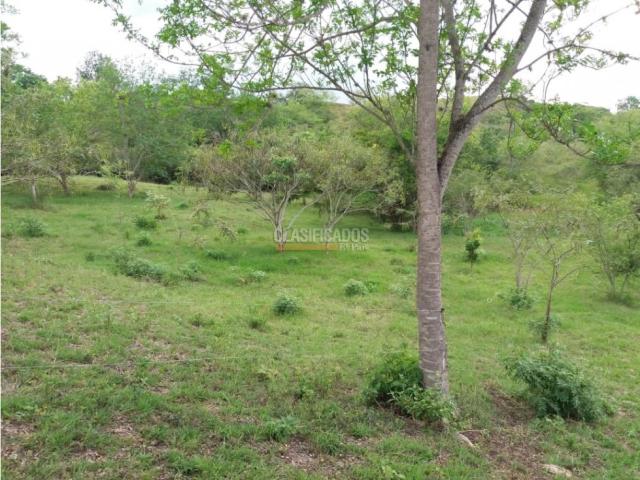 Lotes, Venta en Vijes