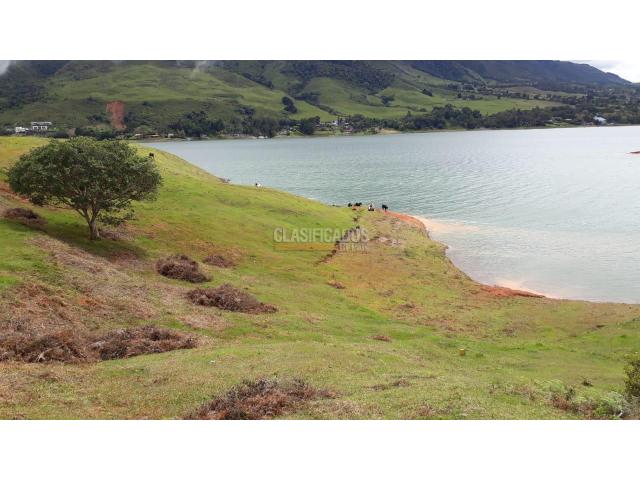 Lotes, Venta en Calima (Darién)