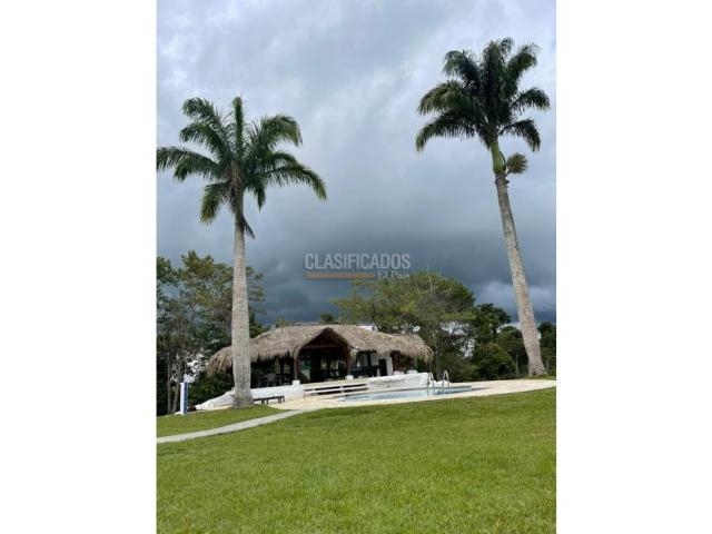 Fincas y Casas Campestres, Venta en Calima (Darién)