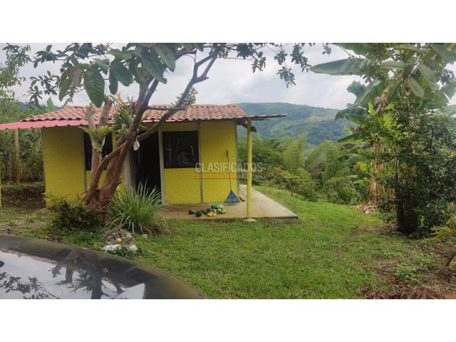Fincas y Casas Campestres, Venta en Guacarí