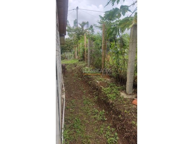 Fincas y Casas Campestres, Venta en Guacarí