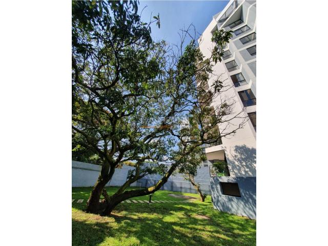 Apartamentos, Venta en Cuarto de Legua