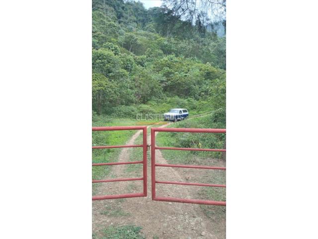 Fincas y Casas Campestres, Venta en Dagua