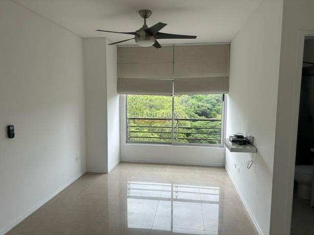 Apartaestudios, Alquiler en Ciudad Jardín