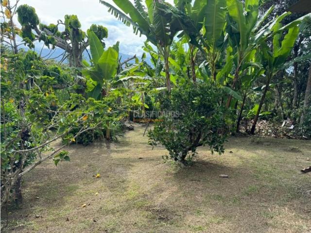 Fincas y Casas Campestres, Venta en Dagua