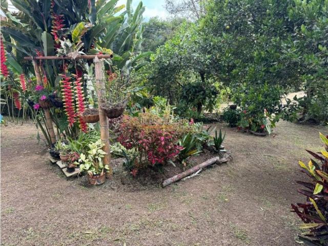 Fincas y Casas Campestres, Venta en Dagua