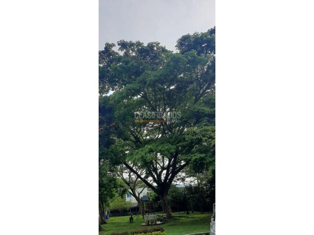 Lotes, Venta en Jamundí