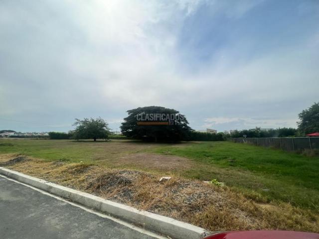 Lotes, Venta en Palmira