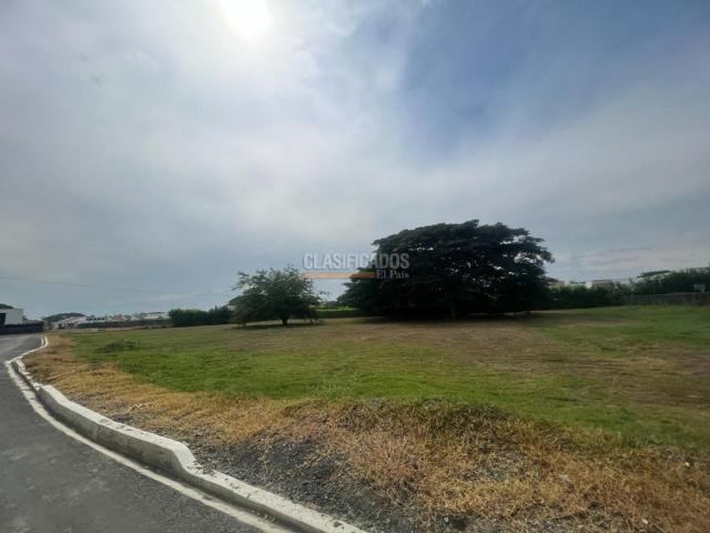 Lotes, Venta en Palmira