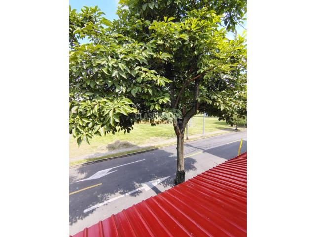 Casas, Alquiler en Palmira