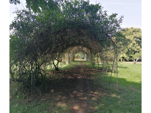 Lotes, Venta en Hacienda Kachipay