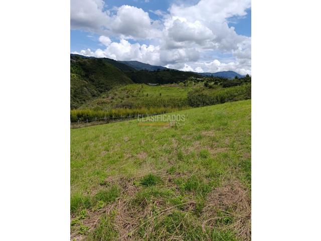 Lotes, Venta en Dagua