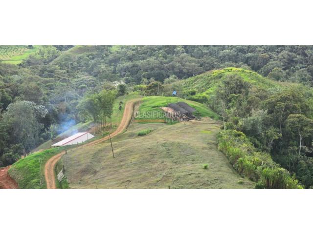 Lotes, Venta en Dagua