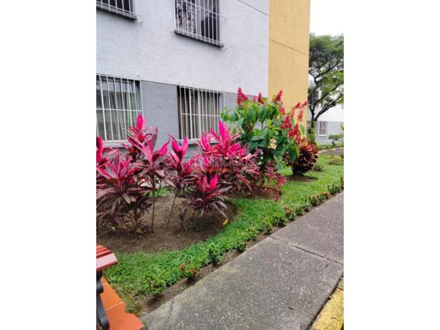 Apartamentos, Alquiler en Nueva Tequendama