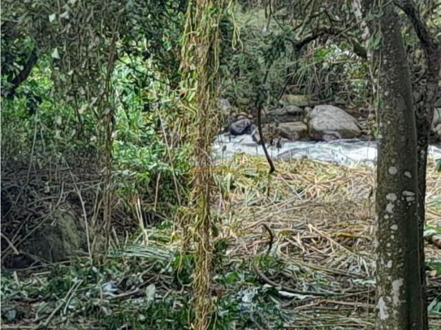 Lotes, Venta en Pance