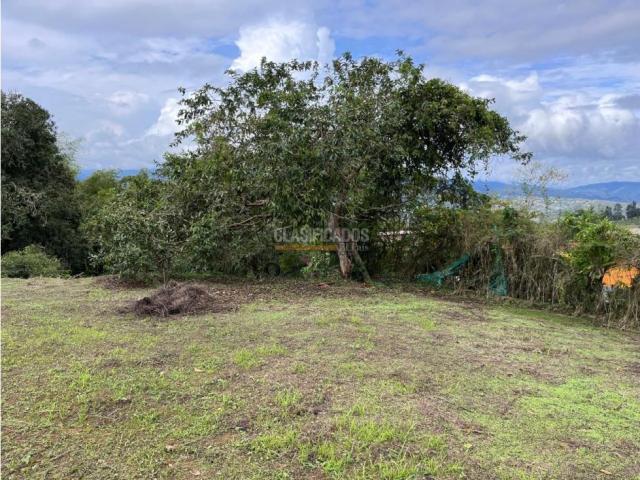 Lotes, Venta en Dagua