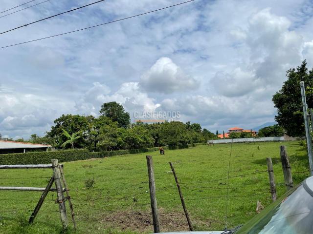 Lotes, Venta en El Cerrito