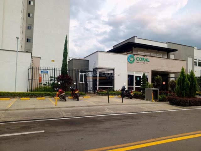 Apartamentos, Alquiler en Ciudad Pacifica