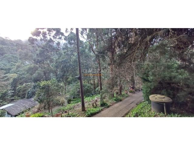 Edificios, Venta en Dapa