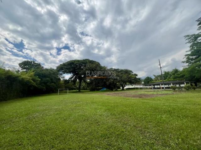 Lotes, Venta en La Buitrera