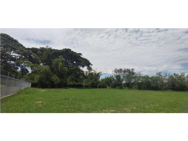 Lotes, Venta en Palmira