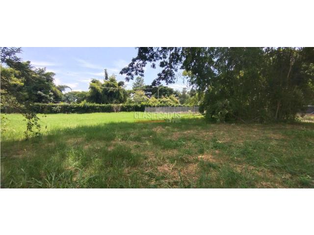 Lotes, Venta en Palmira