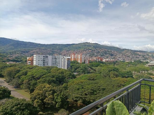 Apartaestudios, Alquiler en Cuarto de Legua