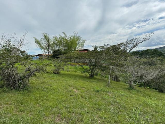 Lotes, Venta en Dagua