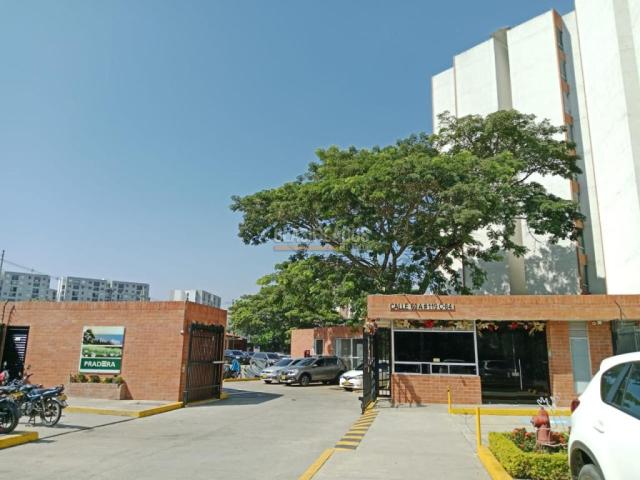 Apartamentos, Alquiler en Ciudad Bochalema