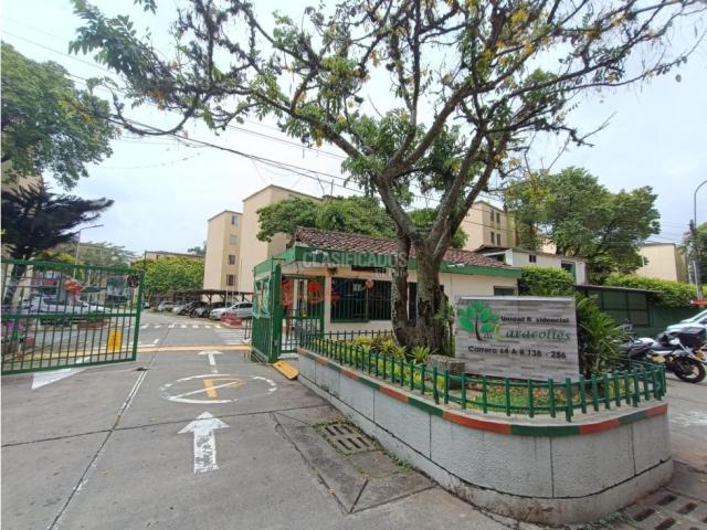 Apartamentos, Alquiler en Bosques del Limonar