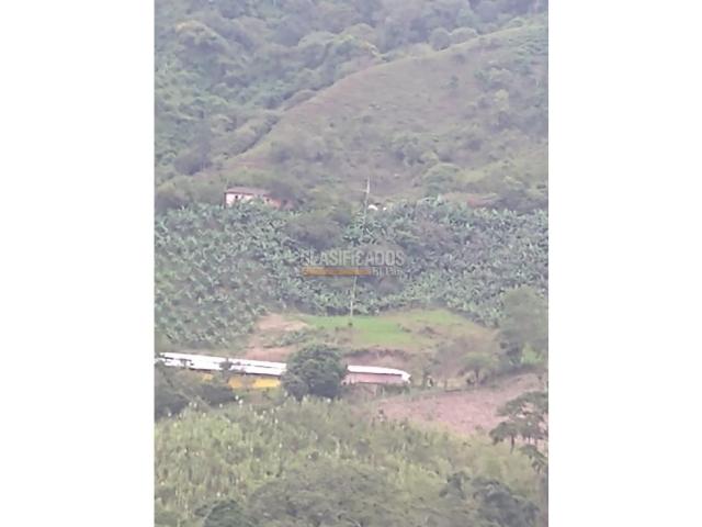 Fincas y Casas Campestres, Venta en Guacarí