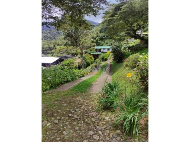 Fincas y Casas Campestres, Venta en Dapa