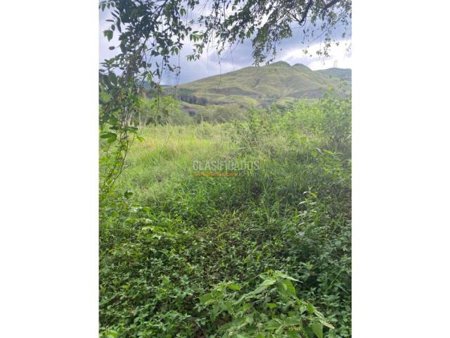 Lotes, Venta en La Campiña