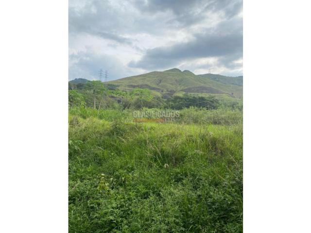 Lotes, Venta en La Campiña