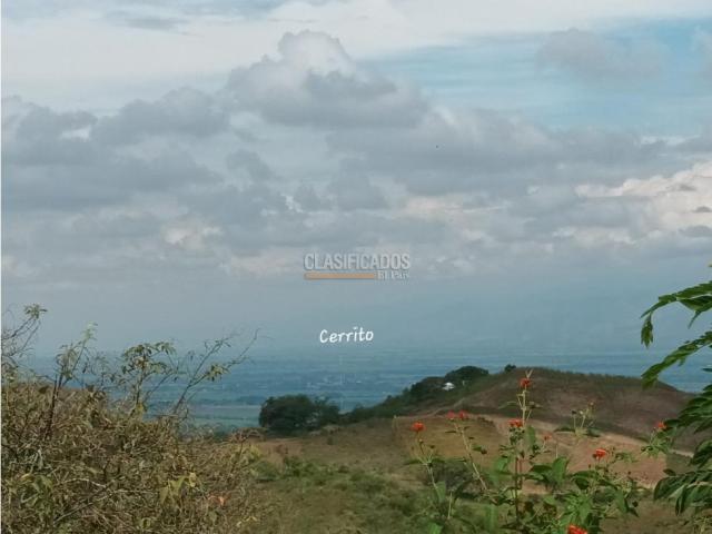 Fincas y Casas Campestres, Venta en Guacarí