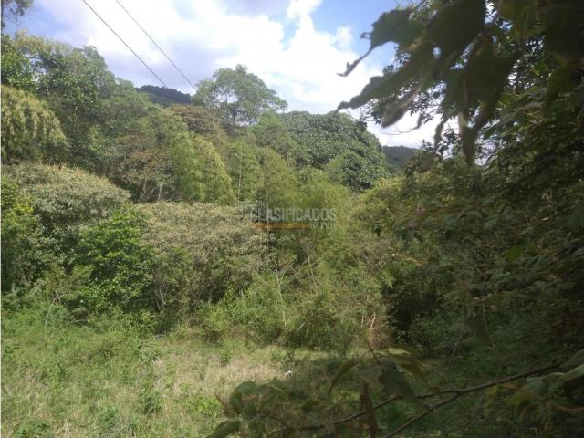 Lotes, Venta en Dapa