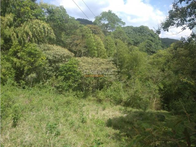 Lotes, Venta en Dapa